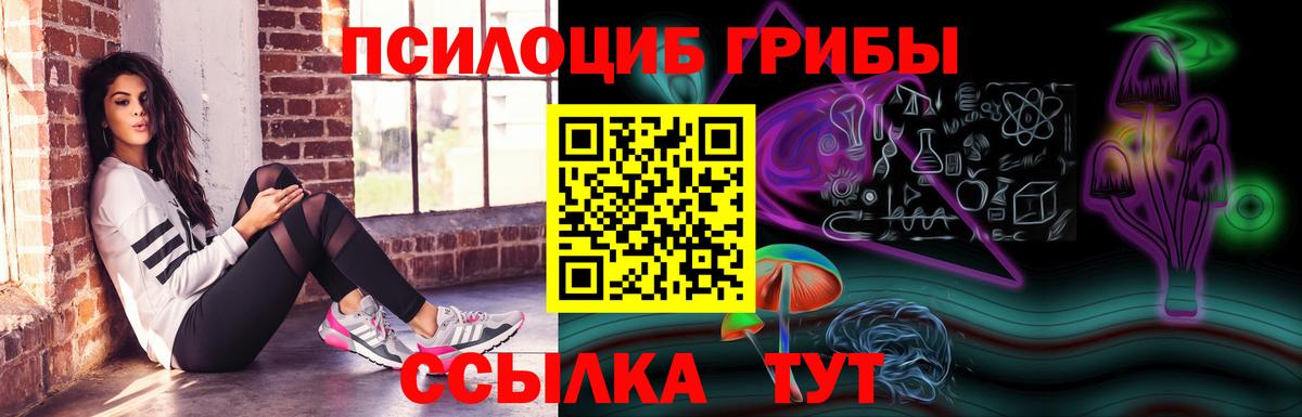 Галлюциногенные грибы мицелий  продажа наркотиков  Омск  Вход с VPN 